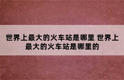 世界上最大的火车站是哪里 世界上最大的火车站是哪里的